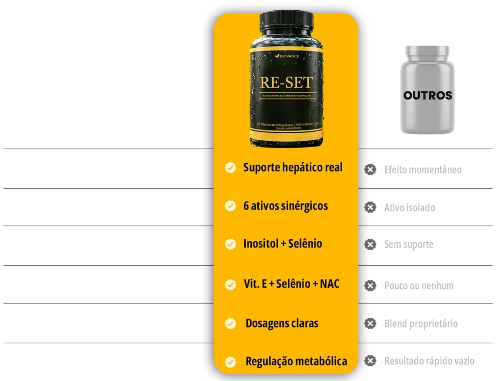y2 Section Recuperado copiar 2